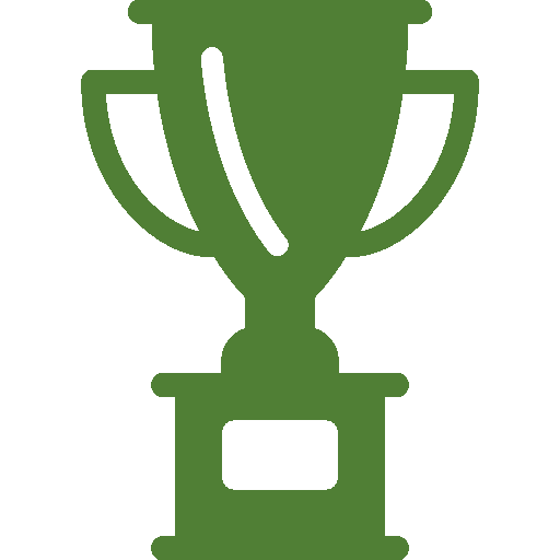 NFL Super Bowl Winners Quiz